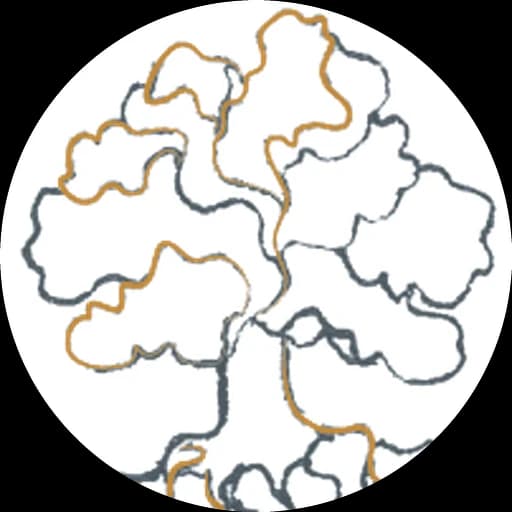 Domaine Jobard-Morey