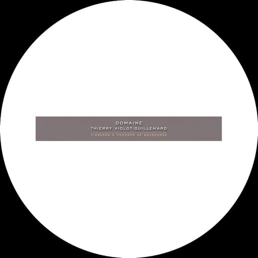 Thierry Violot-Guillemard